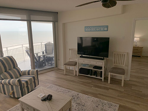 Interior view 4 of rental unit 1103